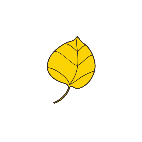 alpine nutrition mountain athlete colorado