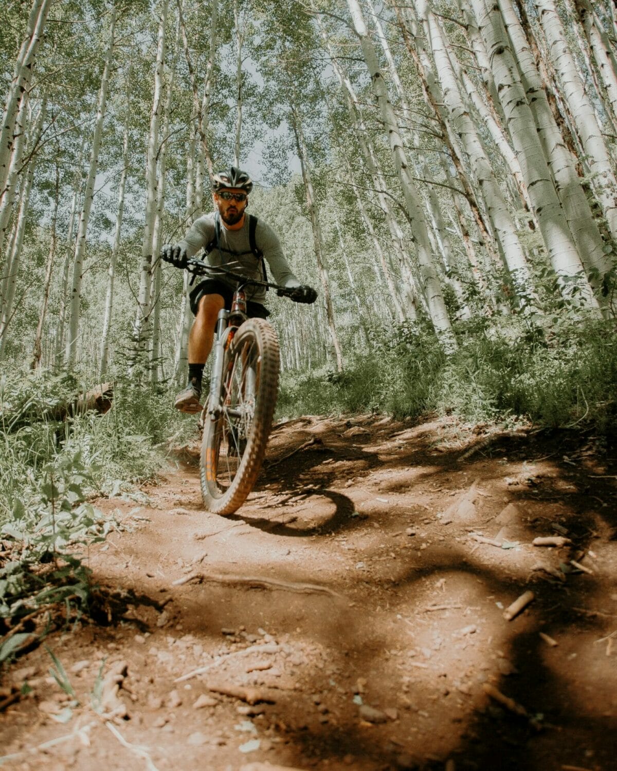 photo of a man mountain biking down a trail with aspen trees