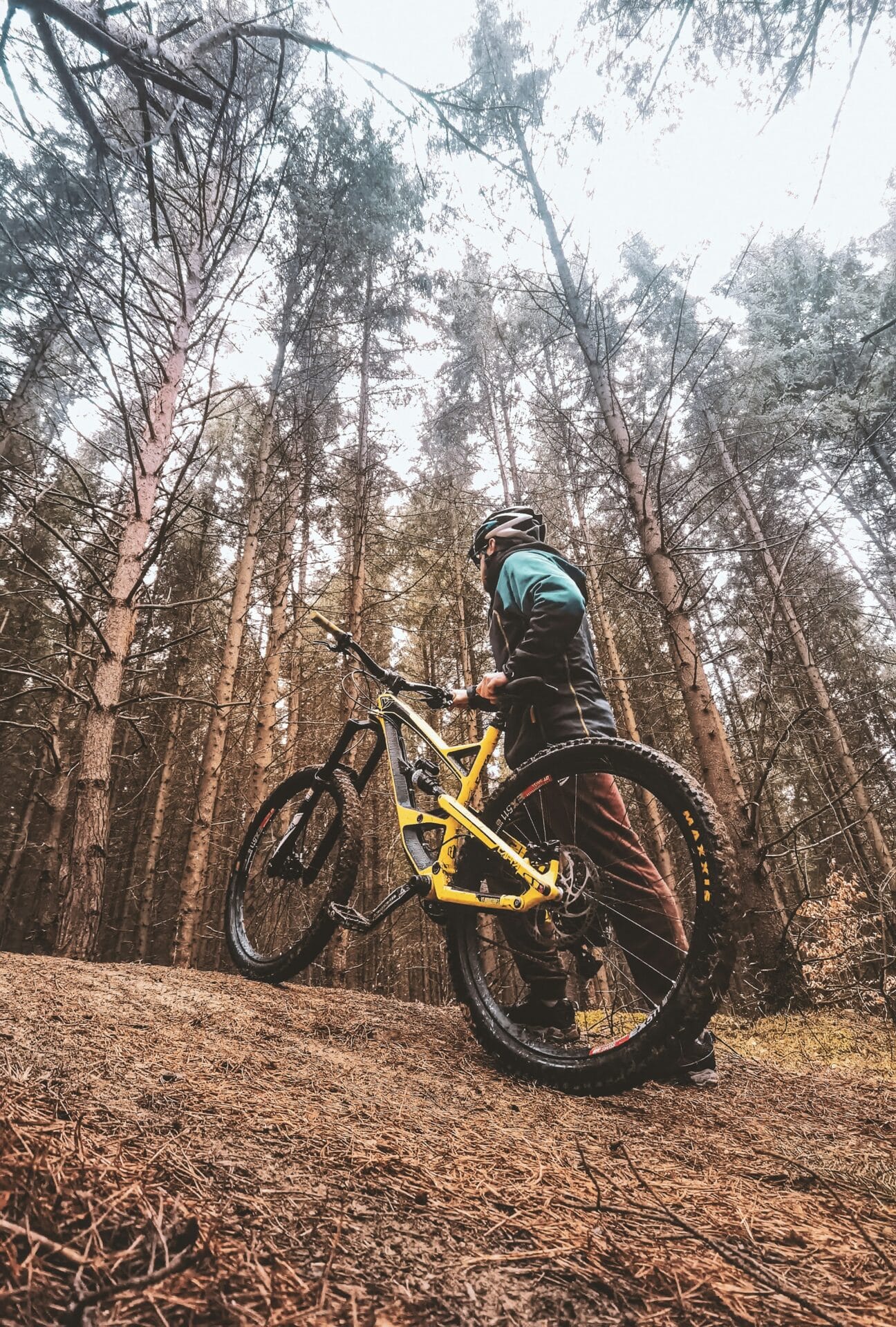 Fueling for Long Runs and Rides with Autoimmune Disease: Avoid Fatigue, Gut Issues, and Flares